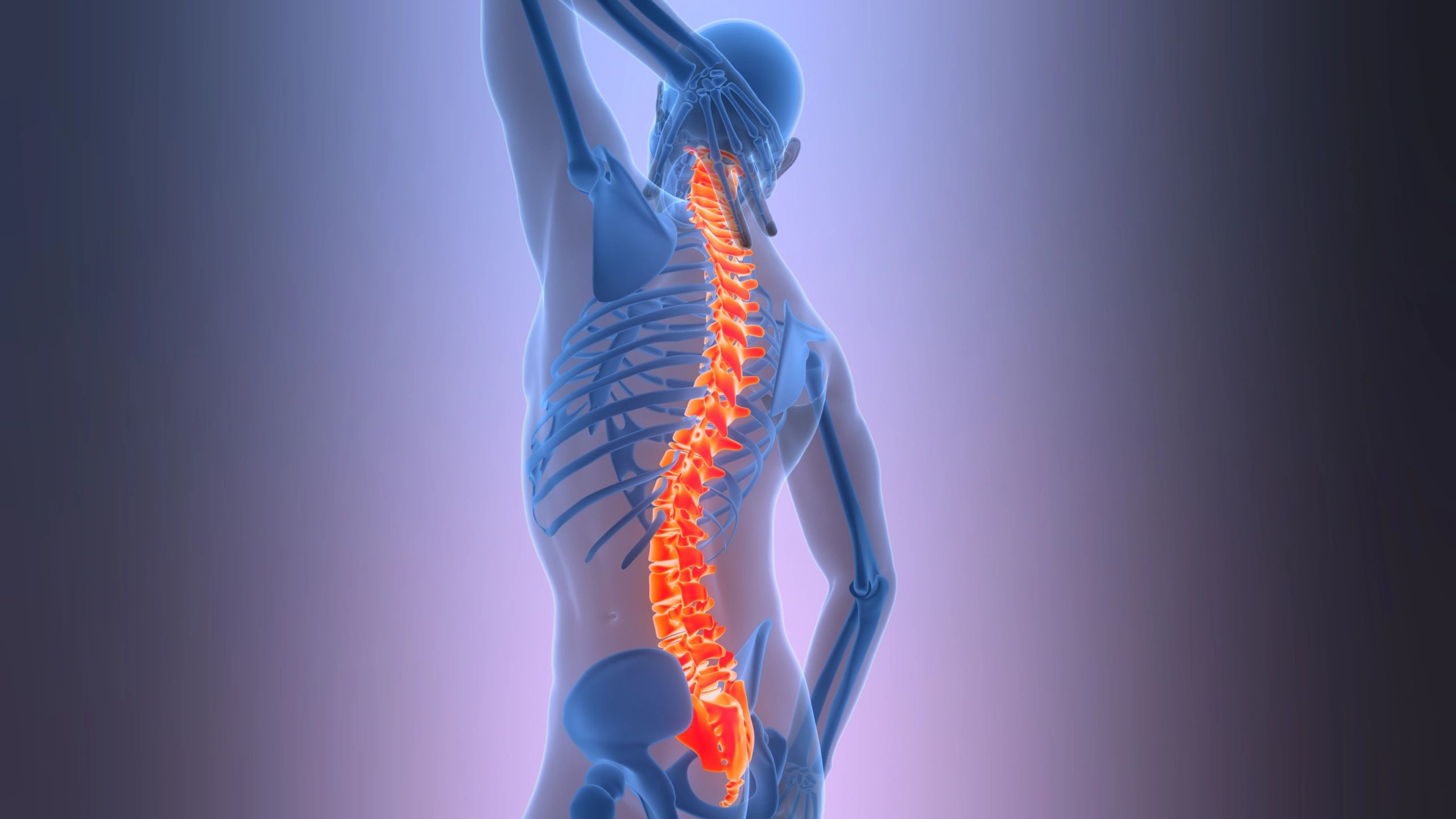 spinal health illustration